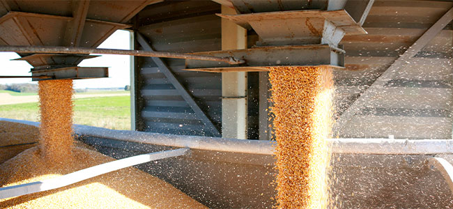 OSHA, Agriculture Industry Hosting Stand Up 4 Grain Safety Week This Month
