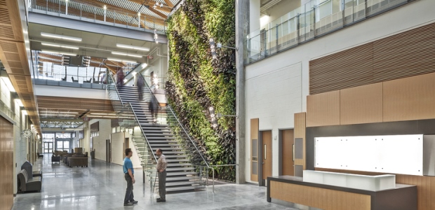 The Ed Lumley Centre for Engineering Innovation at the University of Windsor campus has a bio wall that includes 1,500 plants. It naturally filters the carbon dioxide in the air and then transfers its freshness to the entire building. This building also boasts glass and solar systems, a green roof that collects and filters rain water, and hollow core slabs to both harness and store energy and in turn decrease the use of traditional HVAC systems. (Termobuild photo)