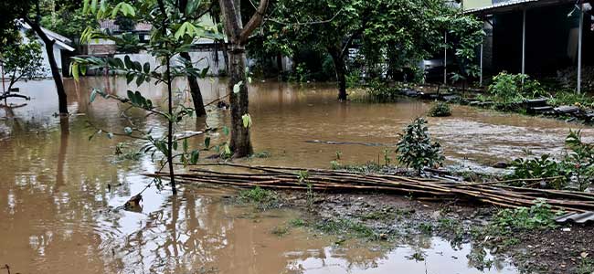 OSHA Offers Safety Guidance to Flood Recovery Workers in Florida