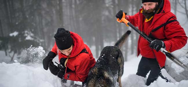 Expanding the Scope of Winter Safety