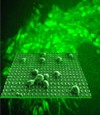 a nano image