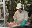 This photo provided by Tyson shows an ergonomics improvement at the Storm Lake, Iowa, pork plant, the use of a bone-in loin stuffer. 