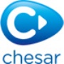 Chesar helps registrants complete Chemical Safety Assessments for the different uses of a substance as they prepare Chemical Safety Reports.