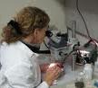 Because labs have different chemicals and equipment, the required safety plans for each location may vary.