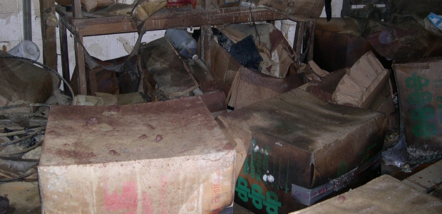 Mold grows easily in flood-related conditions. (VFA, Inc. photo)