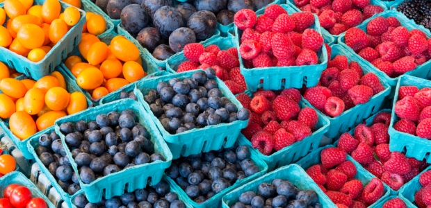 Revolutionizing the speed by which FDA personnel can check minimally processed fresh produce for Salmonella is the goal of the 2014 FDA Food Safety Challenge.