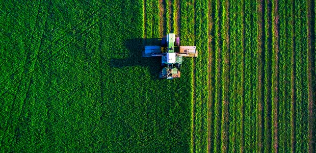 British Fatal Injuries Led by Agricultural and Construction Sector Workers This Year 