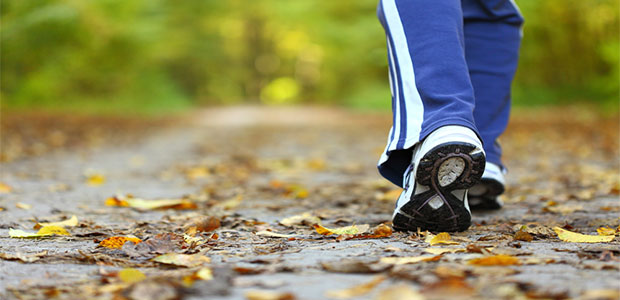 Study Shows that Regular Exercise Makes Your Brain Healthier, Too