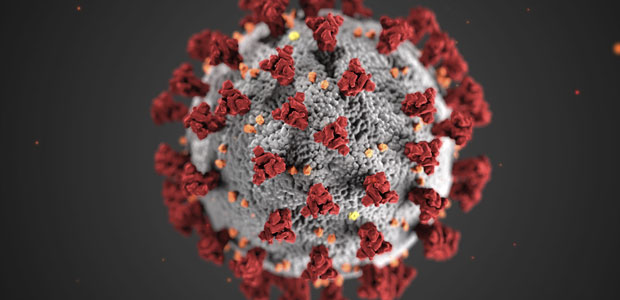 Coronavirus (COVID-19)