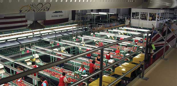 Implementing the Right Air Distribution System