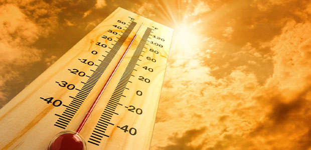 U.S. Department of Labor Cites Florida Company After Worker Dies as Temperatures Inched Towards 100 Degrees in National Forest