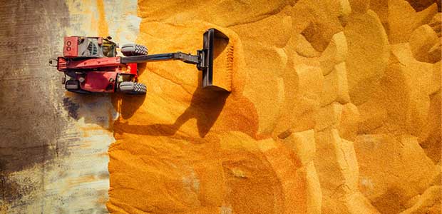 Stand Up 4 Grain Safety Week Promotes Safety in High-Hazard Industry