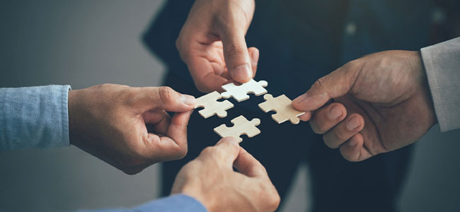 VPPPA Introduces Strategic Partner Program for Elevated Workplace Safety