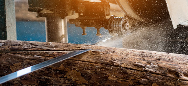 Alabama Sawmill Faces Heavy Fines After Second Fatal Incident in Three Years