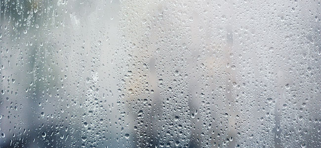 Key Steps for Addressing Mold and Moisture to Maintain Indoor Air Quality
