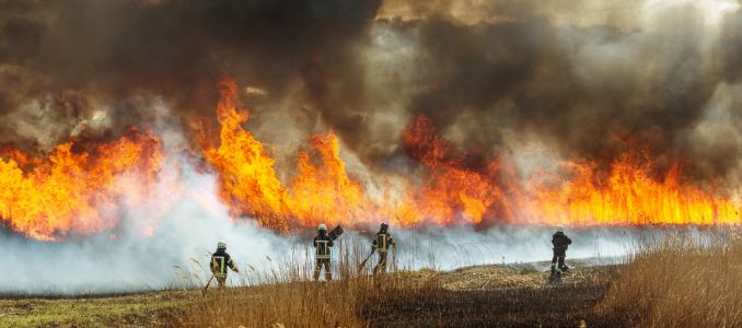 Firefighter Fighting a Wildfire