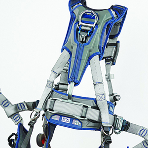 Safety Harness
