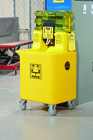 Eyewash System
