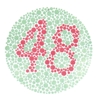 This is an example of a pseudoisochromatic test plate.