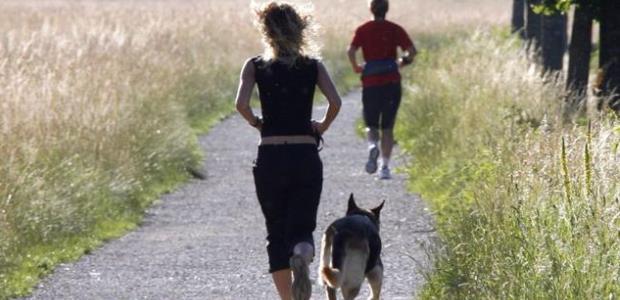Integrating OSH protection with health promotion reduces costs, increases employee productivity, and boosts organizational performance.