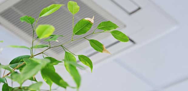 Answer the Call: Improve Indoor Air Quality and Improve Health