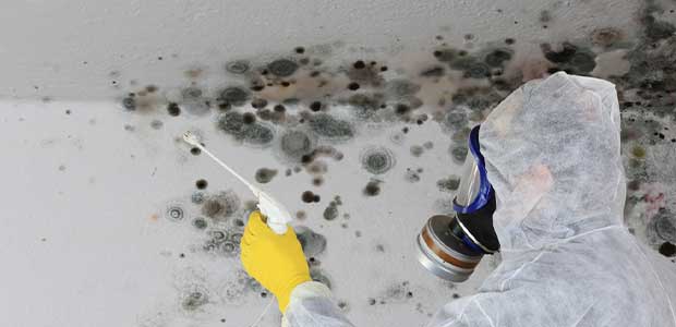 IICRC Proposes New IAQ Standard for Remediation Contractors