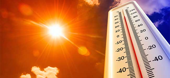 Summertime Safety Planning