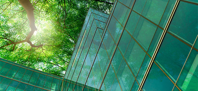 Why OSH Professionals Should Embrace Sustainability