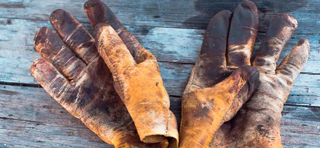 Driving Sustainability: The Role of ESG Metrics and Sustainable PPE in Reducing Scope 3 Emissions