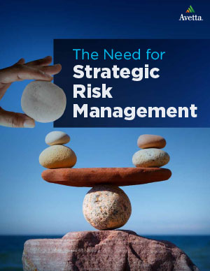 The Need for Strategic Risk Management